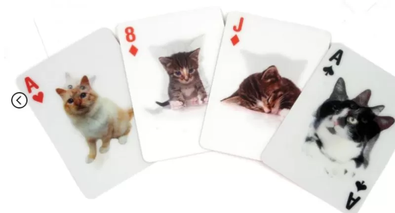 KIKKERLAND Cartes Chat 3D Discount