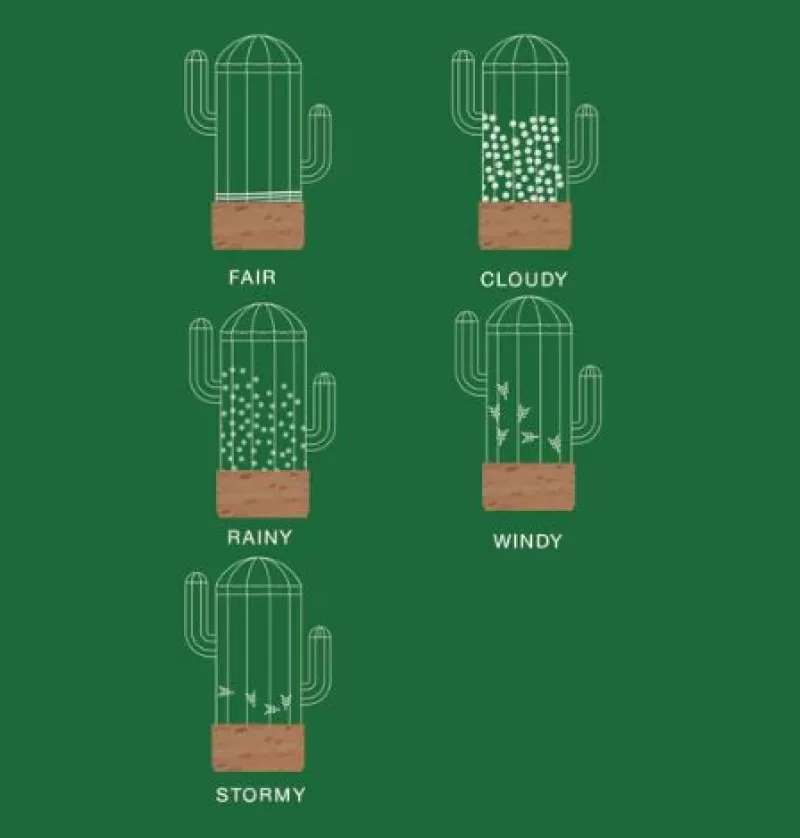 BITTEN Predicteur Meteo Cactus Online